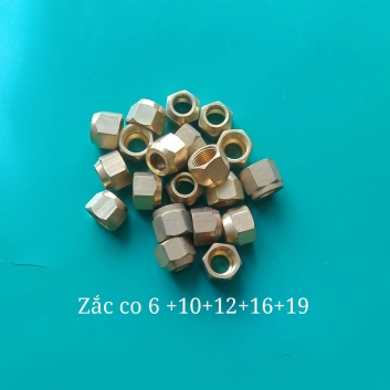 Zắc co 10